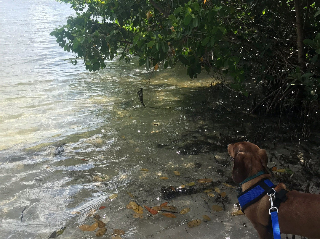 Joan M. Durante Community Park-长船礁必去景点