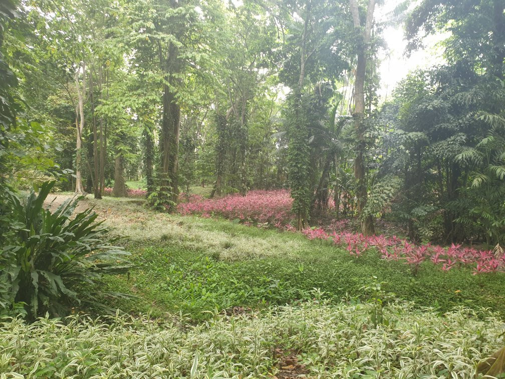 Hotel Antigua Mision Parque & Spa主图