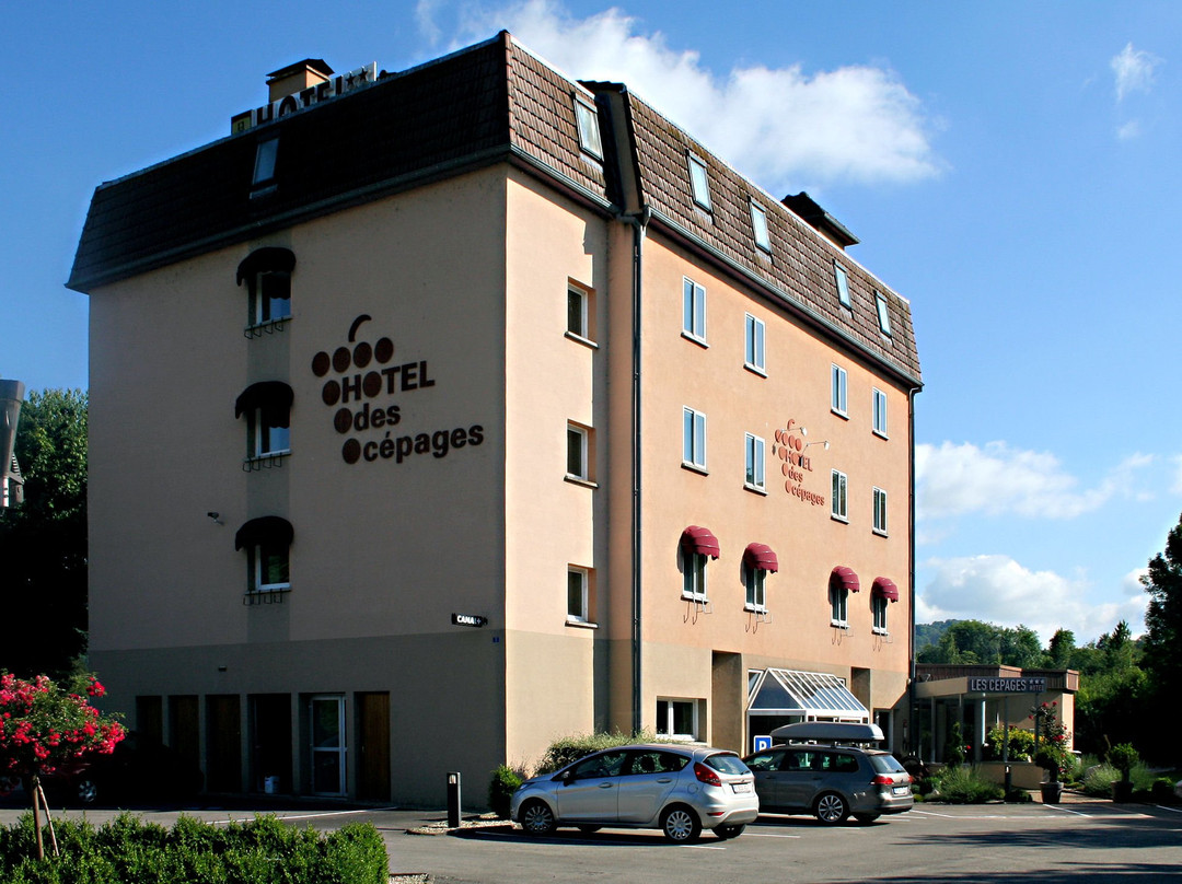 Logis Hôtel des Cépages主图