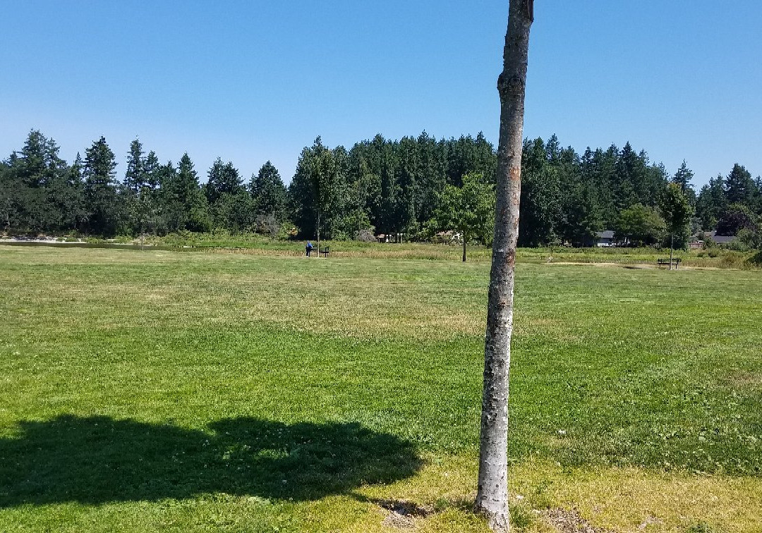 Woodland Creek Community Park景点图片