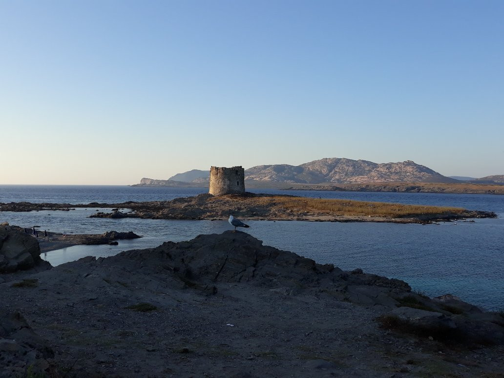 Torre della Pelosa-斯廷蒂诺必去景点