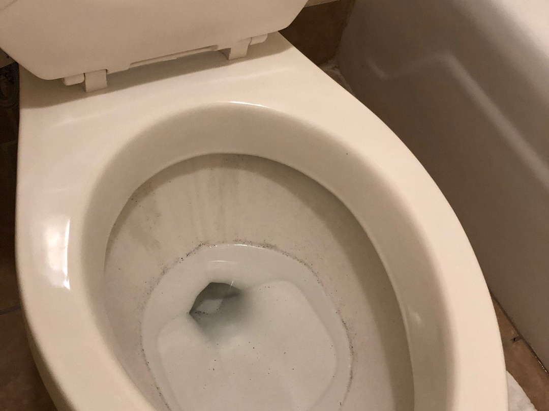 Baymont by Wyndham Chocowinity/Washington主图