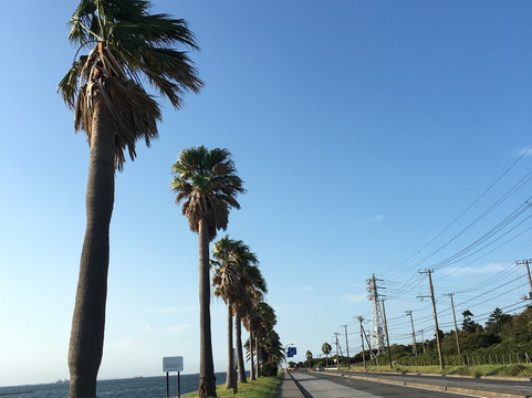 Chibafornia-袖浦市必去景点