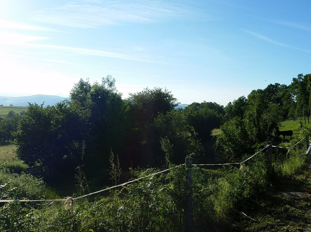 Auberge Les Liards主图