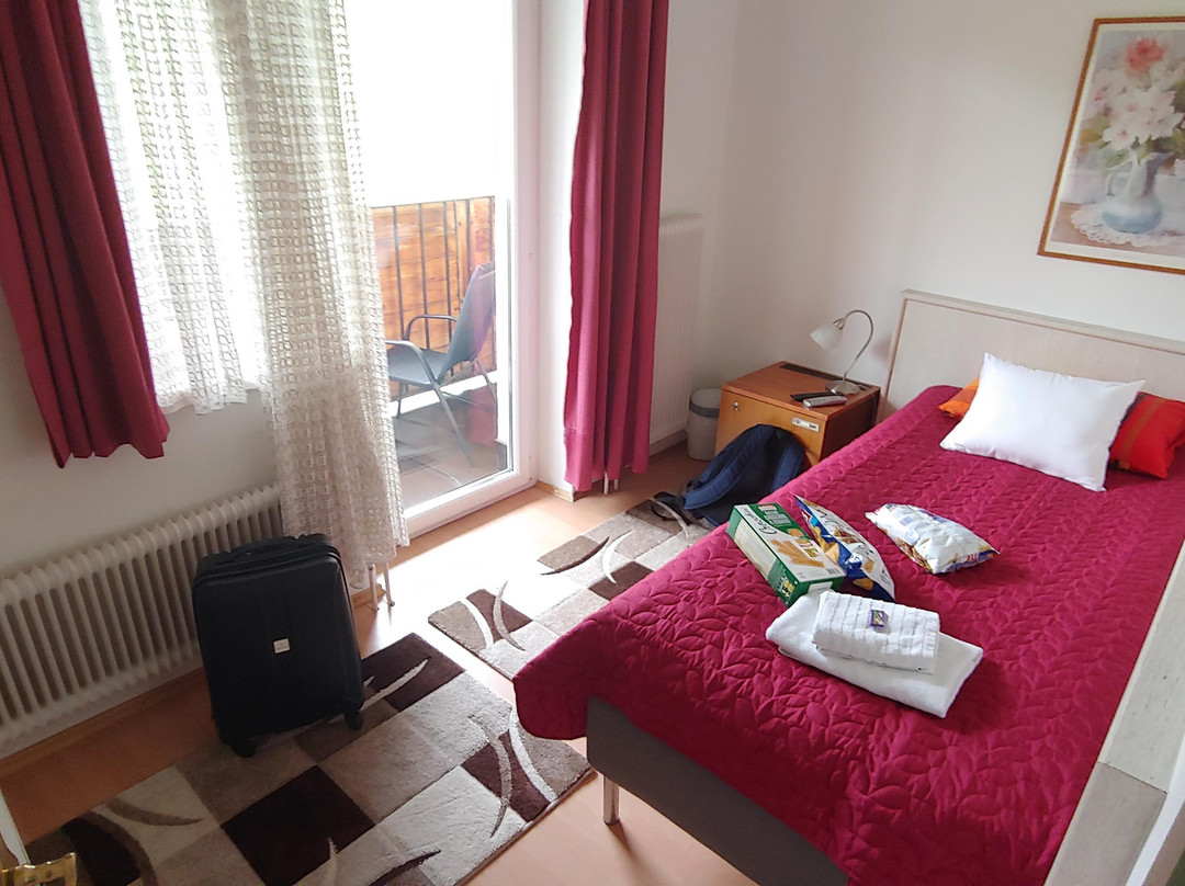 Volenter Gastehaus主图