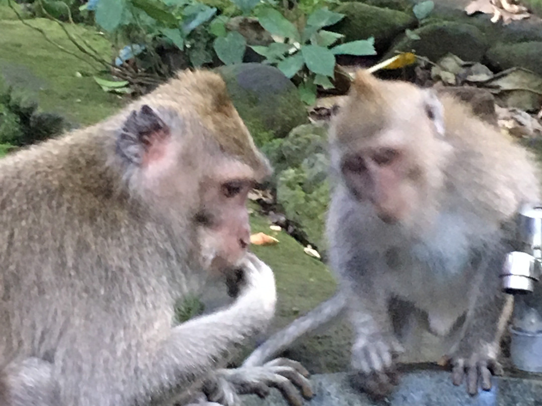 Patrick Bali Driver-勒吉安必去景点