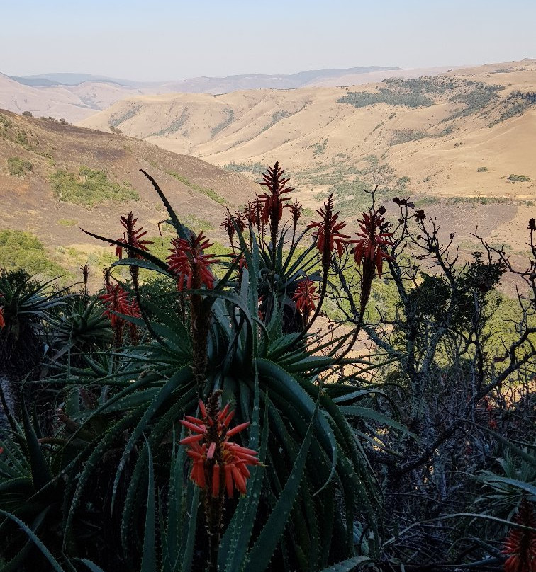 Wathaba Hiking Trails景点图片