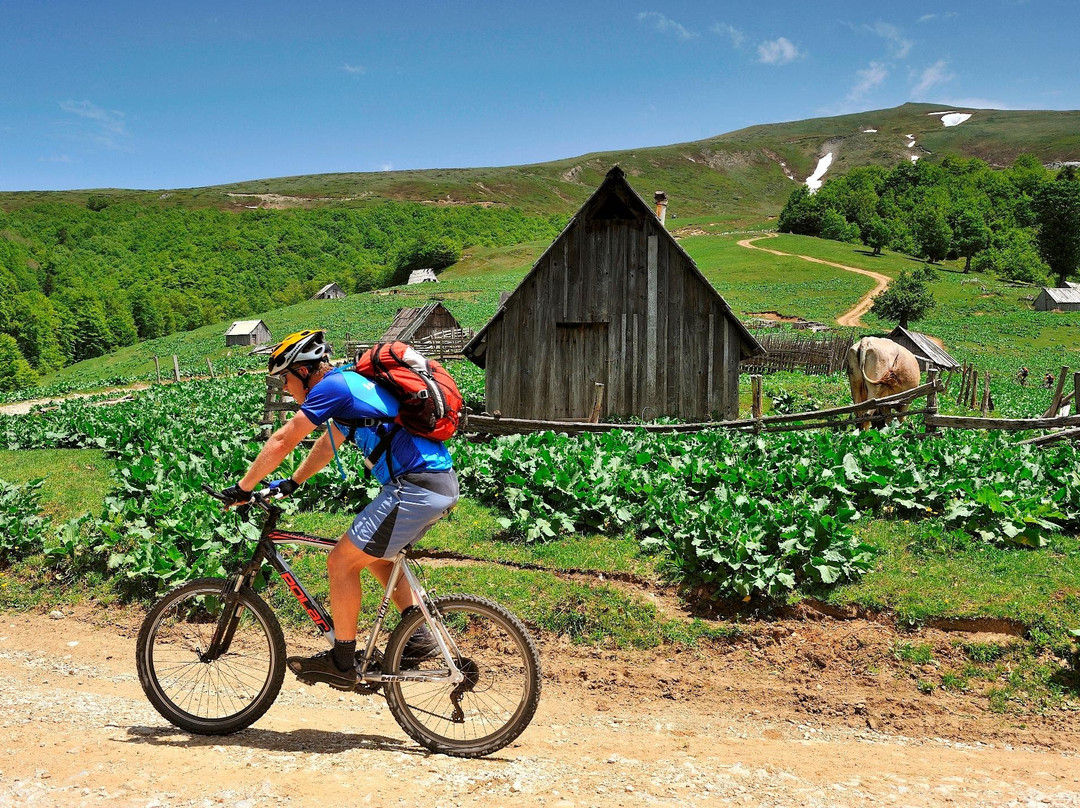 Tourist agency - North Tour Montenegro-Kolasin Municipality必去景点