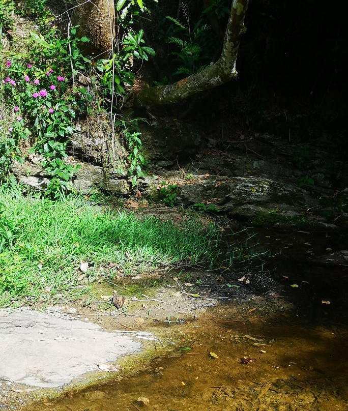 Sentier de la petite cascade-Farino必去景点