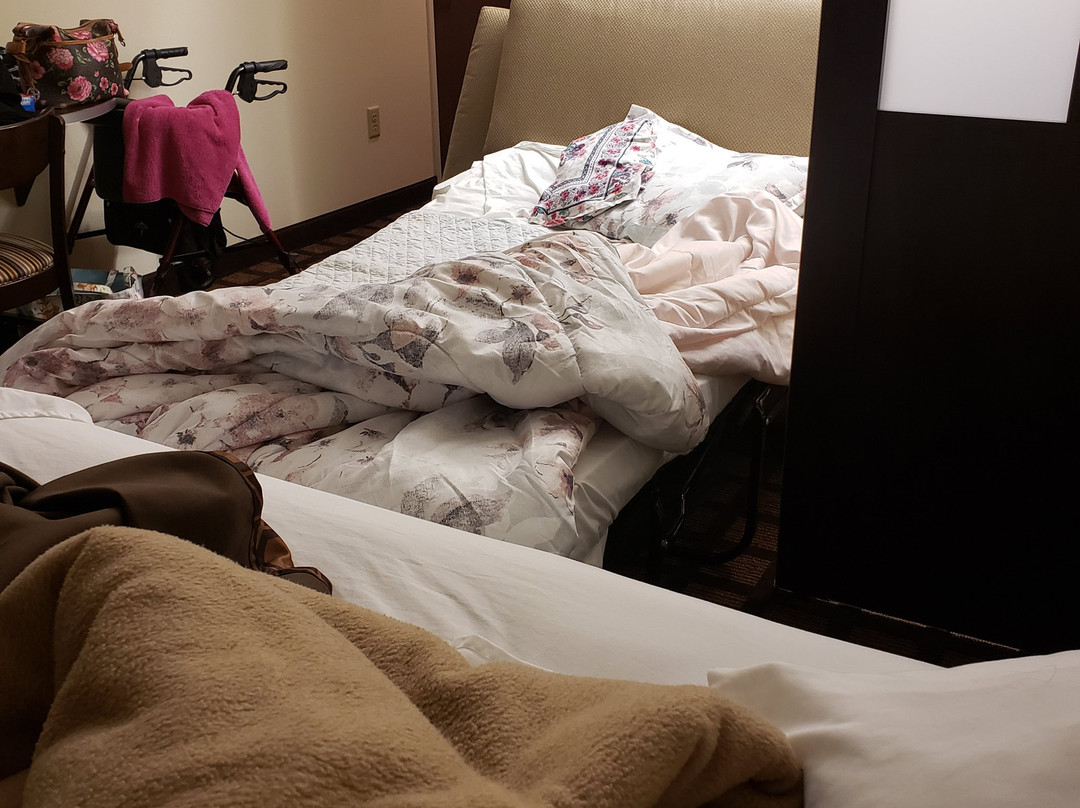 Microtel Inn & Suites By Wyndham Eagle Pass主图