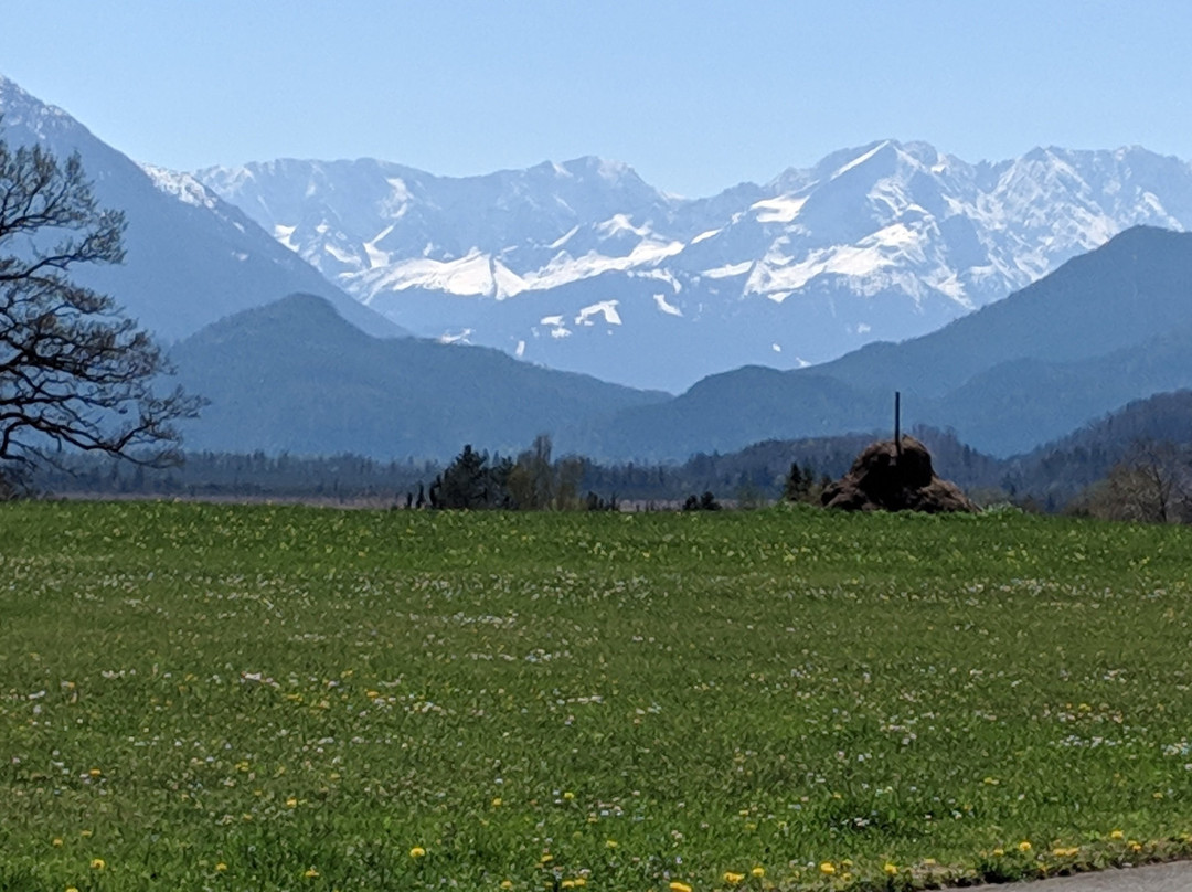 穆尔瑙阿尔班霍夫酒店_x005F_x000D_主图