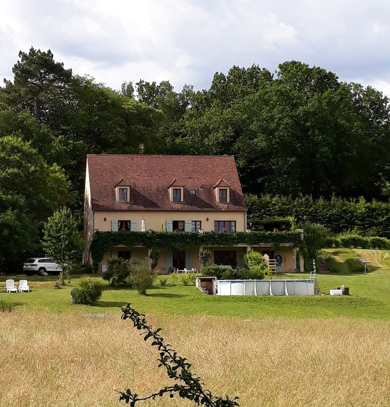 Les Jonquilles主图