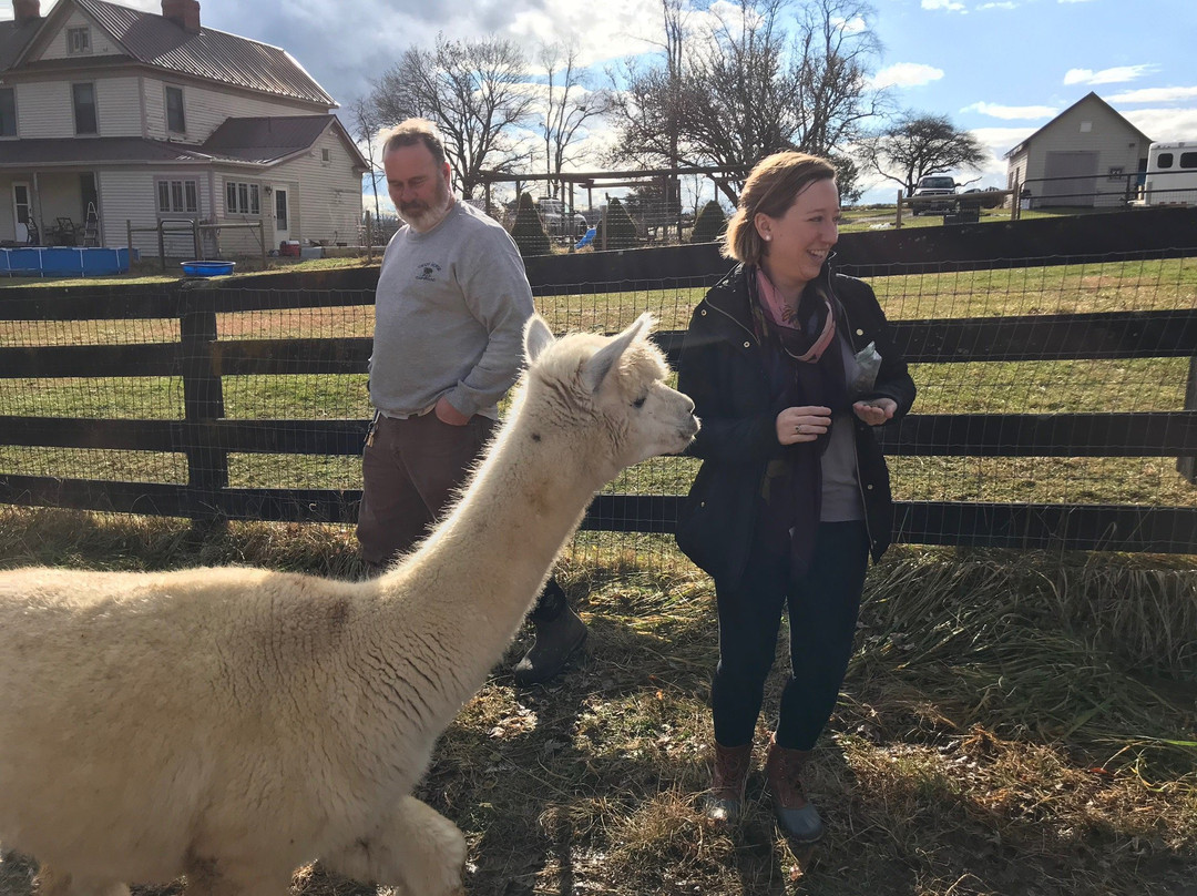 Dreamland Alpacas LLC-Meadowview必去景点