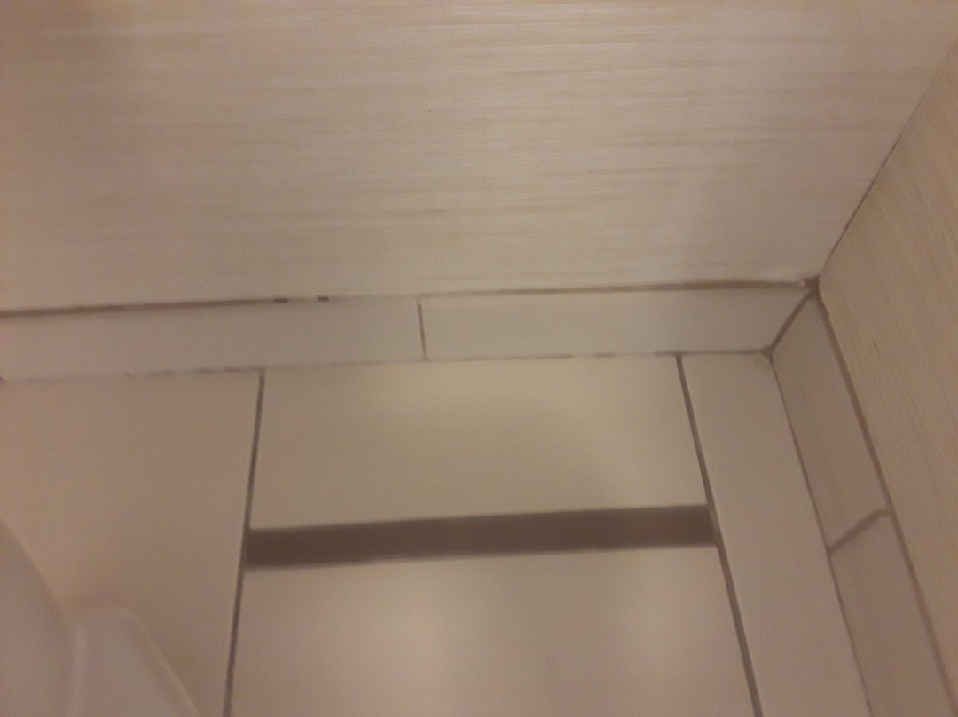 Fairfield by Marriott Inn & Suites Utica主图