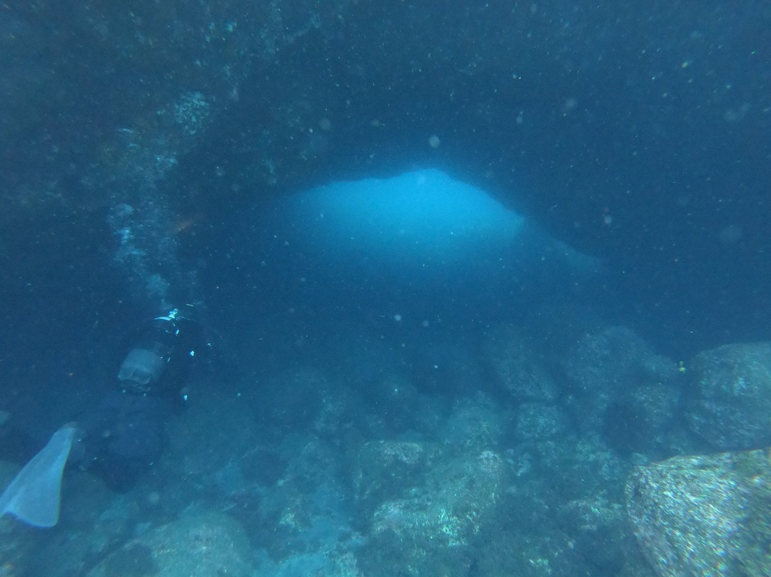 Twin peaks diving center-Pico必去景点