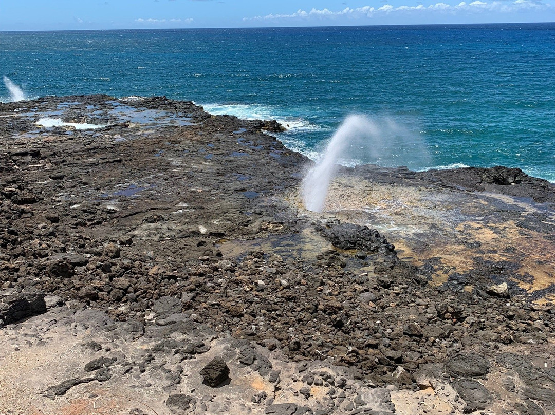 Kauai Mopeds-利胡埃必去景点