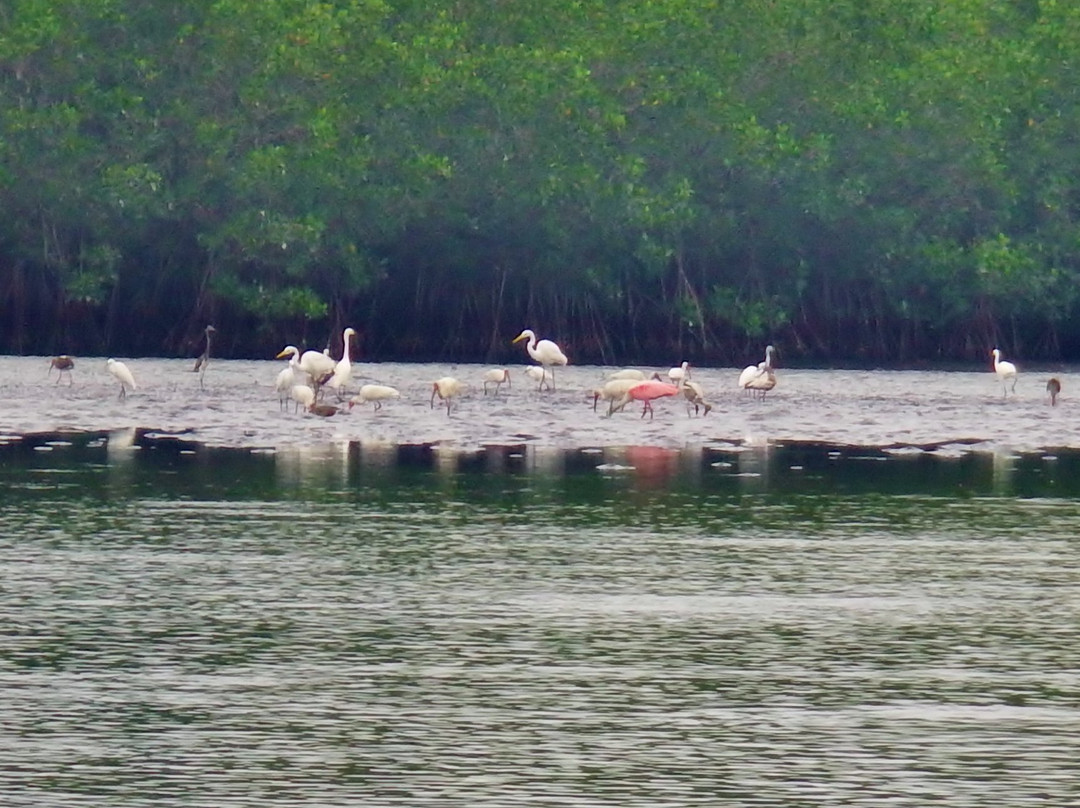 Kayak Manzanillo-曼萨尼约必去景点