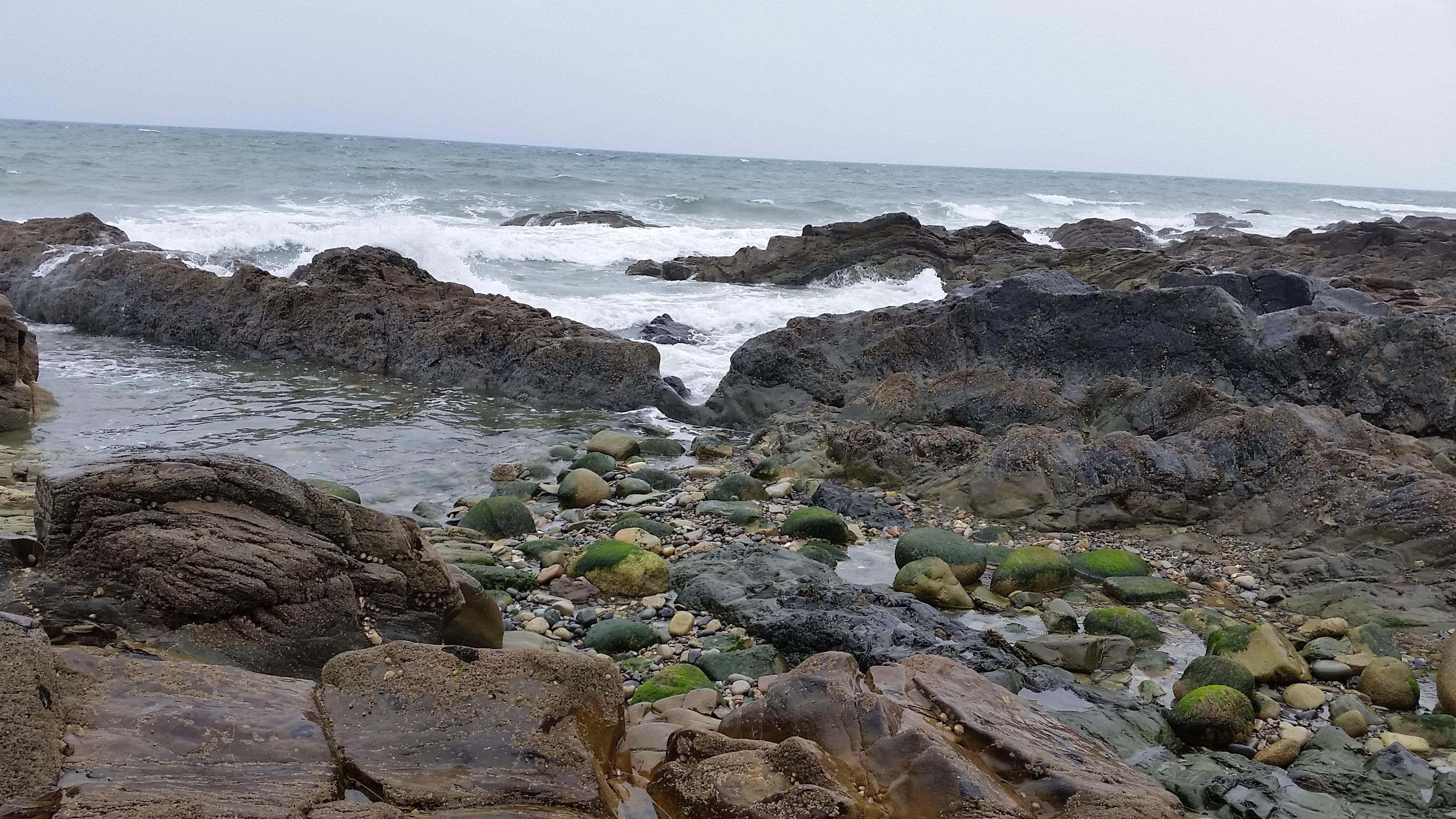 Marine Villa B&B-官方