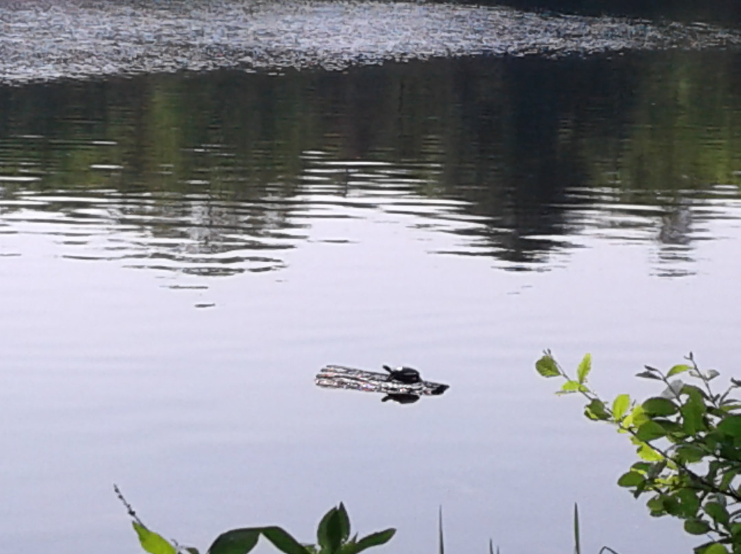 Mohegan Park-诺威奇必去景点