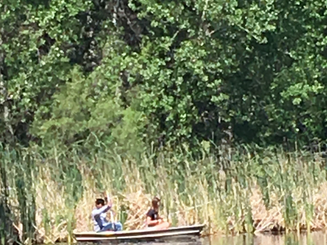 Three Falls Cove Country Inn主图