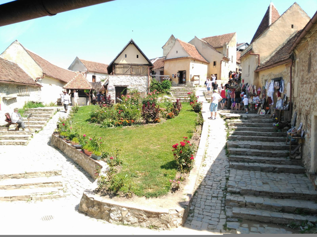 Rasnov Citadel: Garden and Panoramic View景点图片