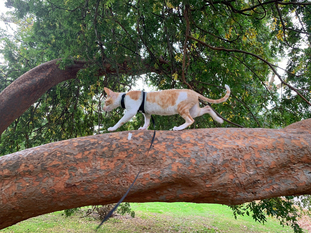 Malvern Gardens-Malvern必去景点