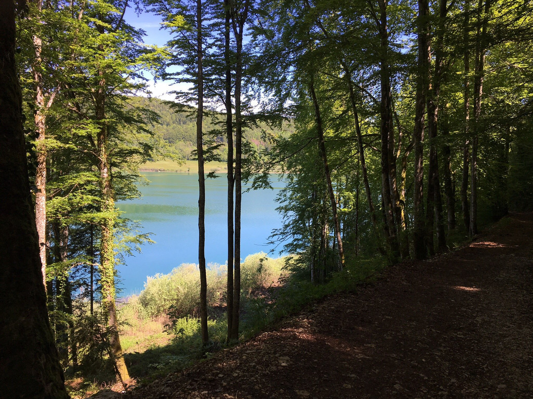 Lac de Narlay景点图片