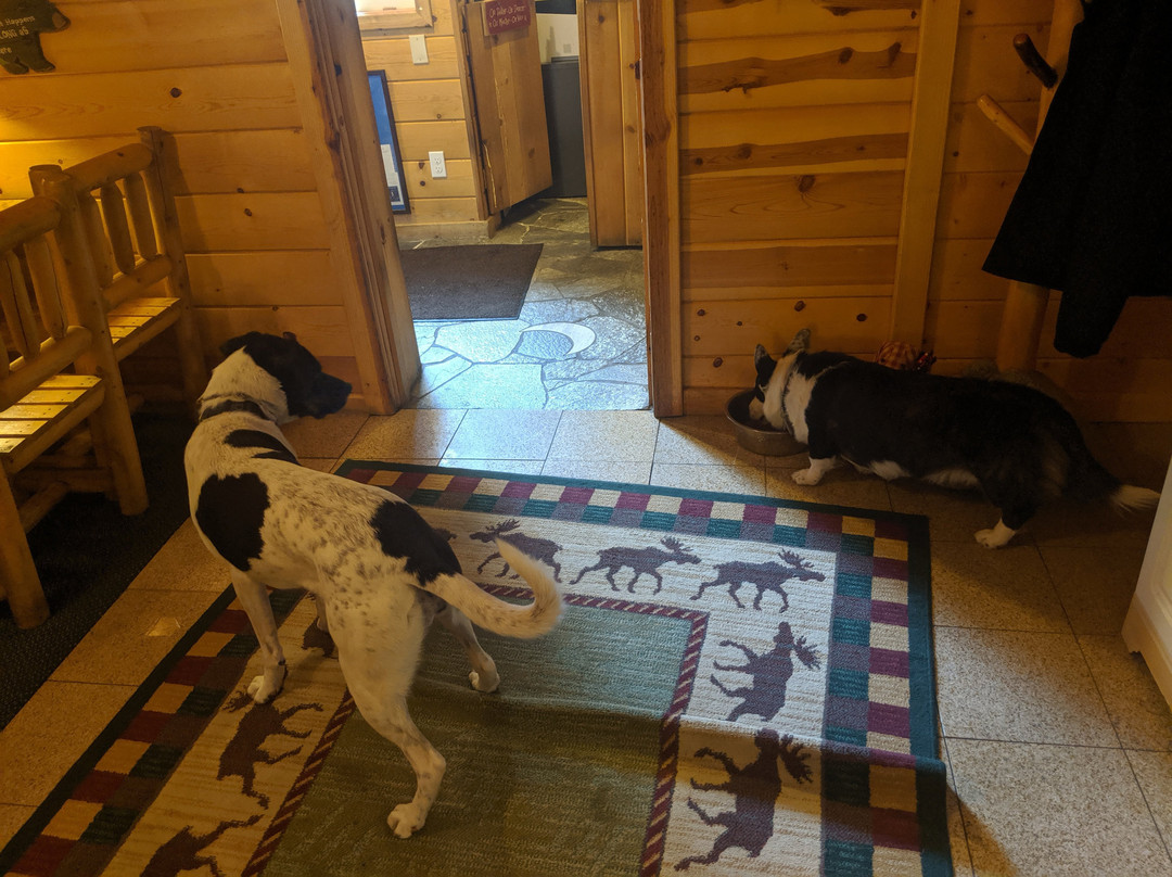 Fireside Lodge Bed and Breakfast主图