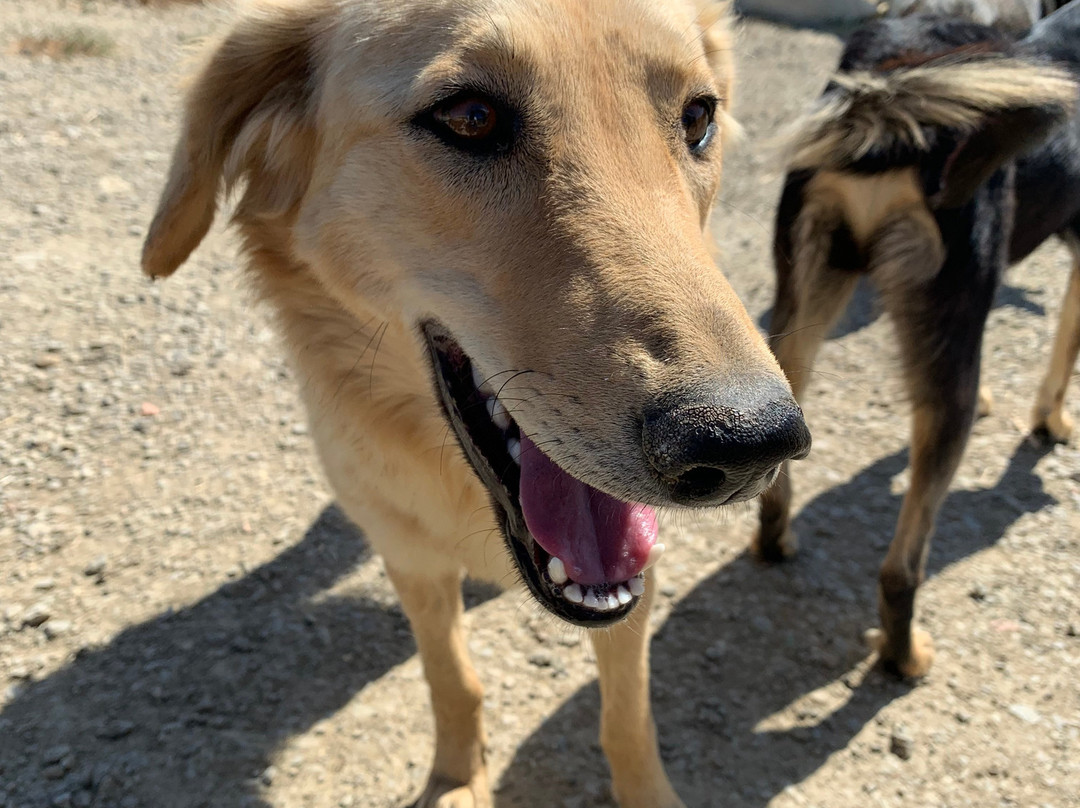 SFT - Tangier Wildlife Sanctuary-丹吉尔必去景点