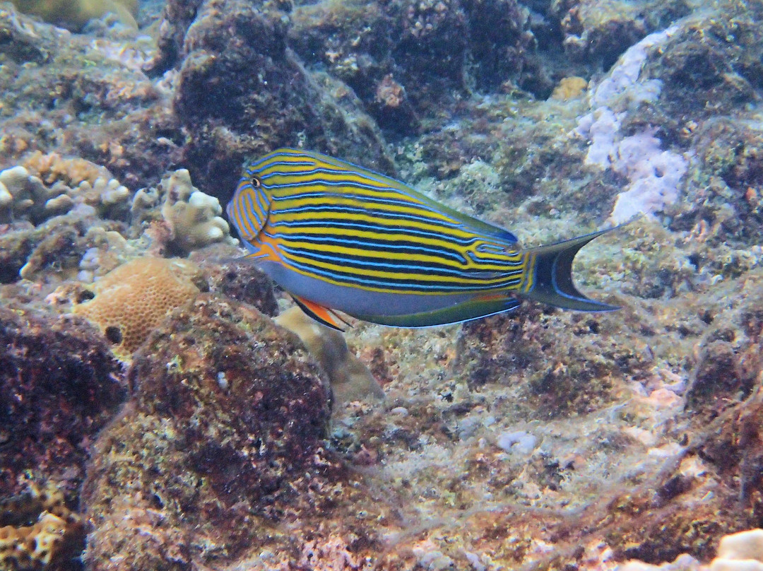 玛哈玛雅度假酒店主图