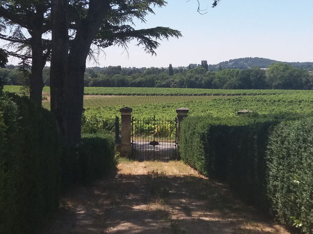 Château Constantin景点图片