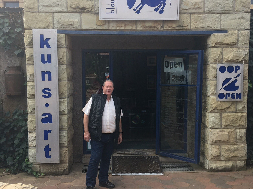 Blou Donki Art Gallery-克拉伦斯必去景点