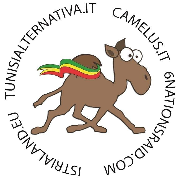 Camelus Adventures - Istrialand-布延必去景点