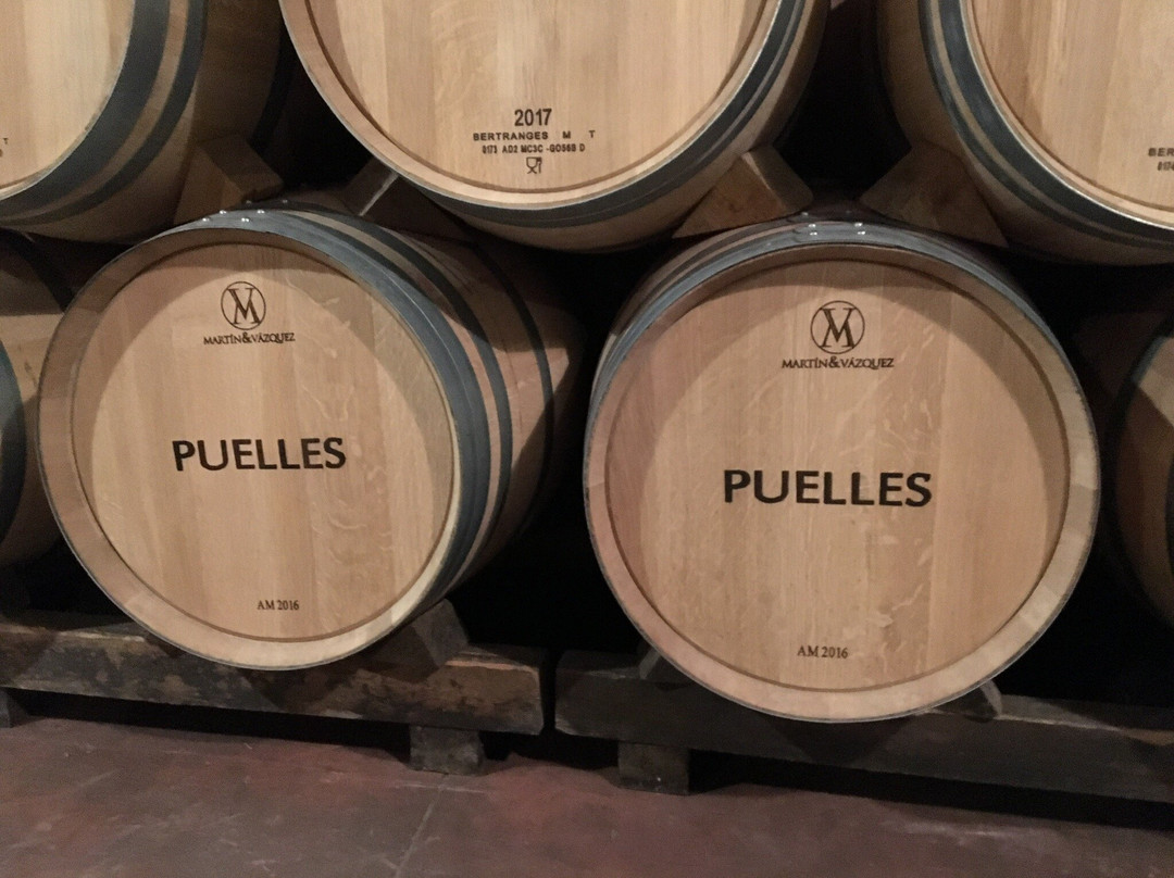 Hospederia del Vino主图