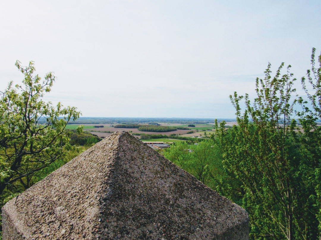 Mound Hill Park-Elk Mound必去景点