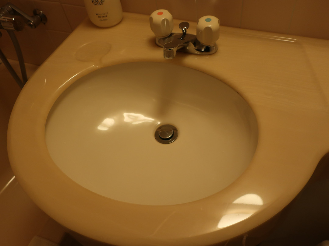 Tsuyama Kakuzan Hotel主图