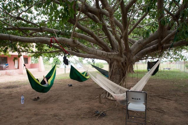 Wechiau Community Hippo Sanctuary-Wa必去景点
