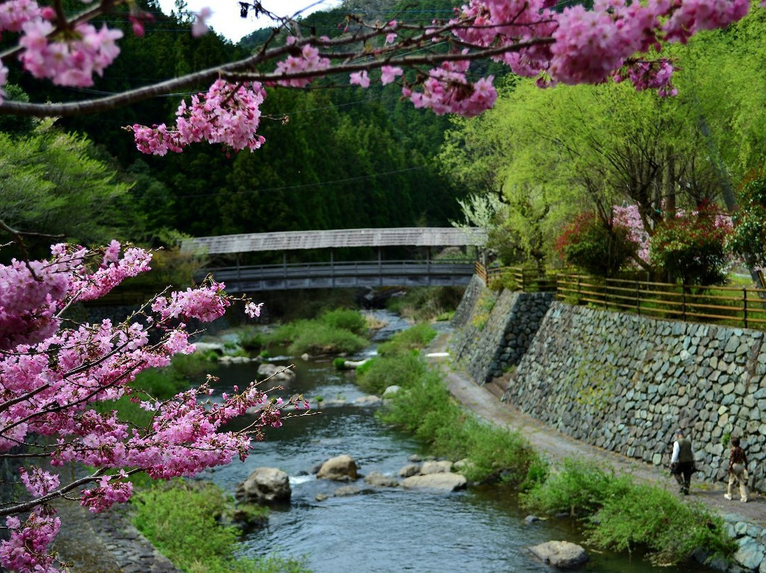 Ryuo Bridge-大洲市必去景点