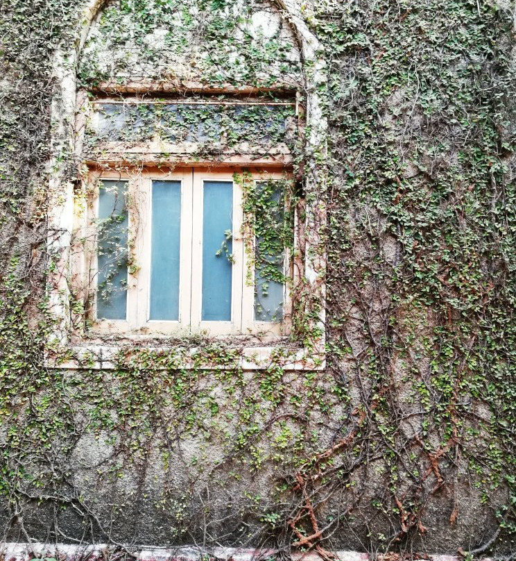 Treebo Cecil Resort主图