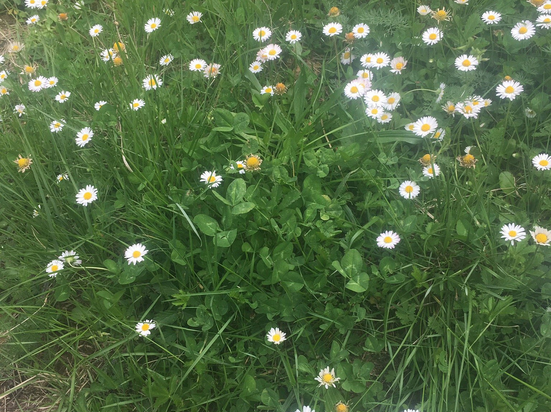 La Piedra del Mediodia主图