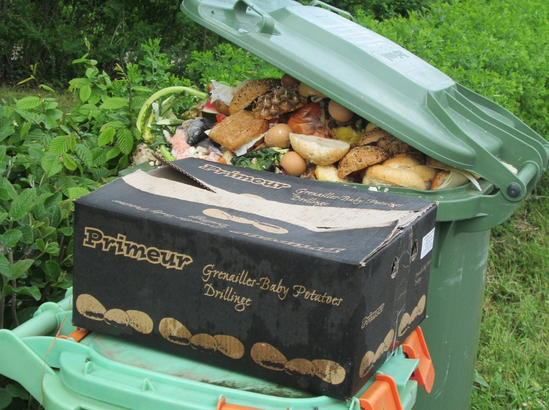 Hotel Jagdschloss Letzlingen主图