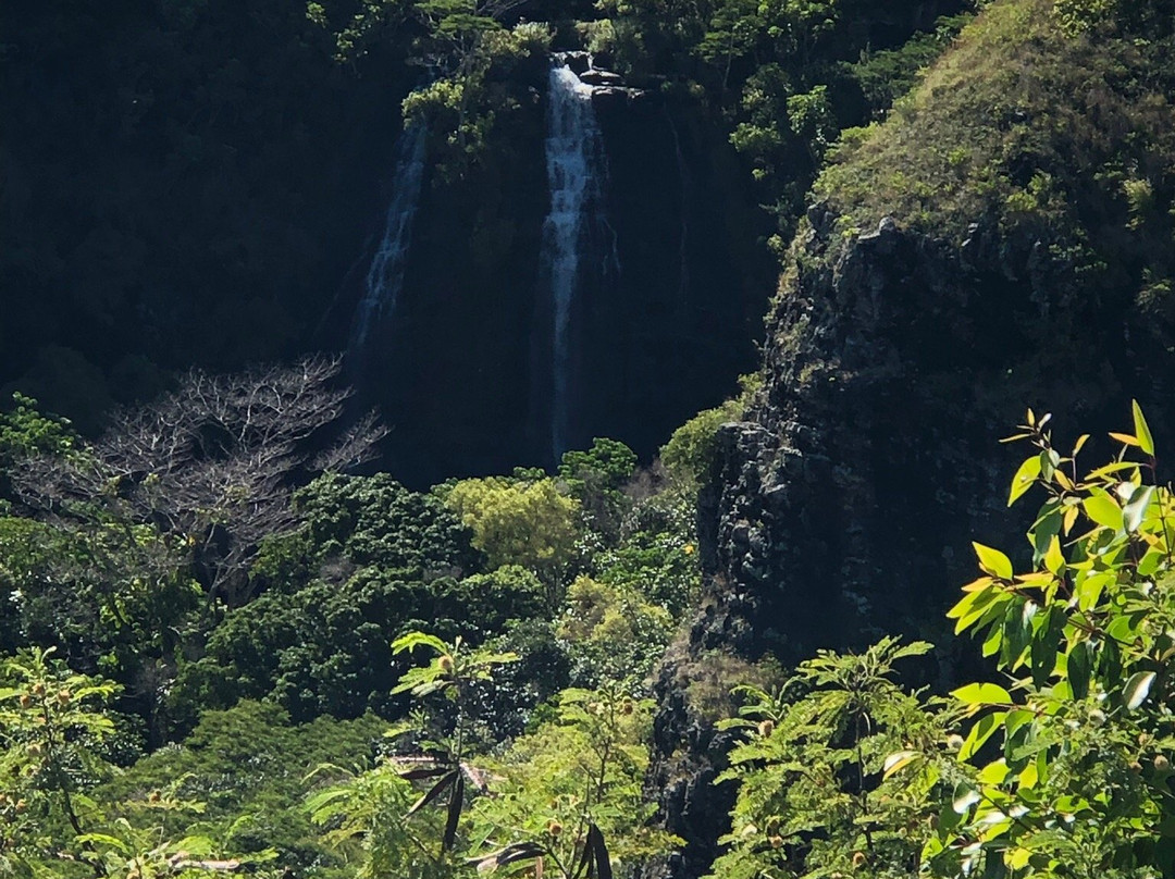 Ho'olalaea Waterfall景点图片