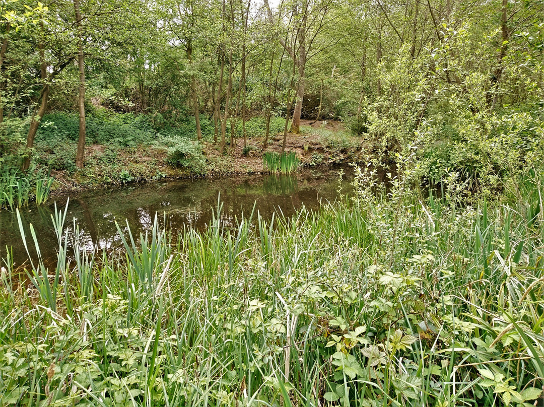 Sevenoaks Wildlife Reserve景点图片