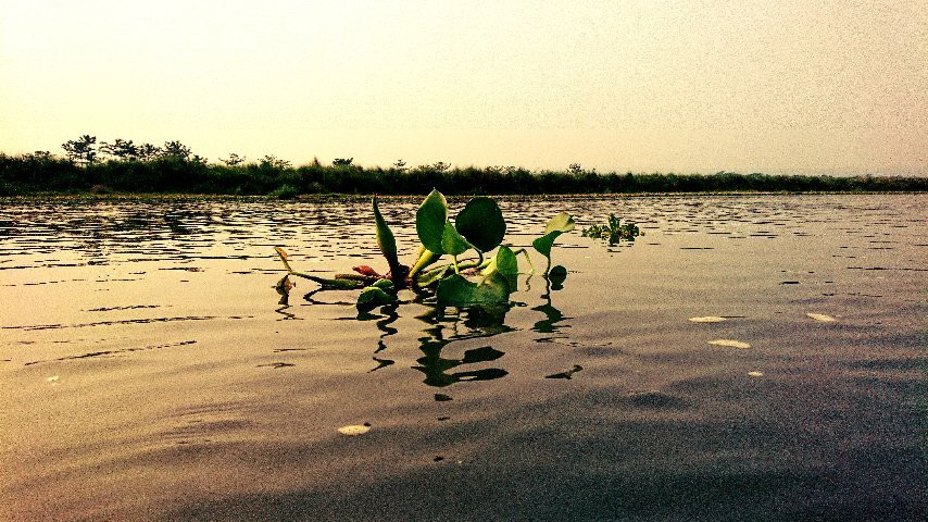 Co-operative Jungle Guide Service-苏拉哈必去景点