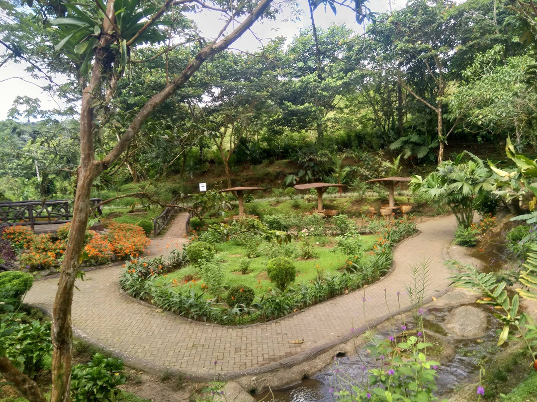 Roadrunner Transfers Costa Rica-塔马林多必去景点