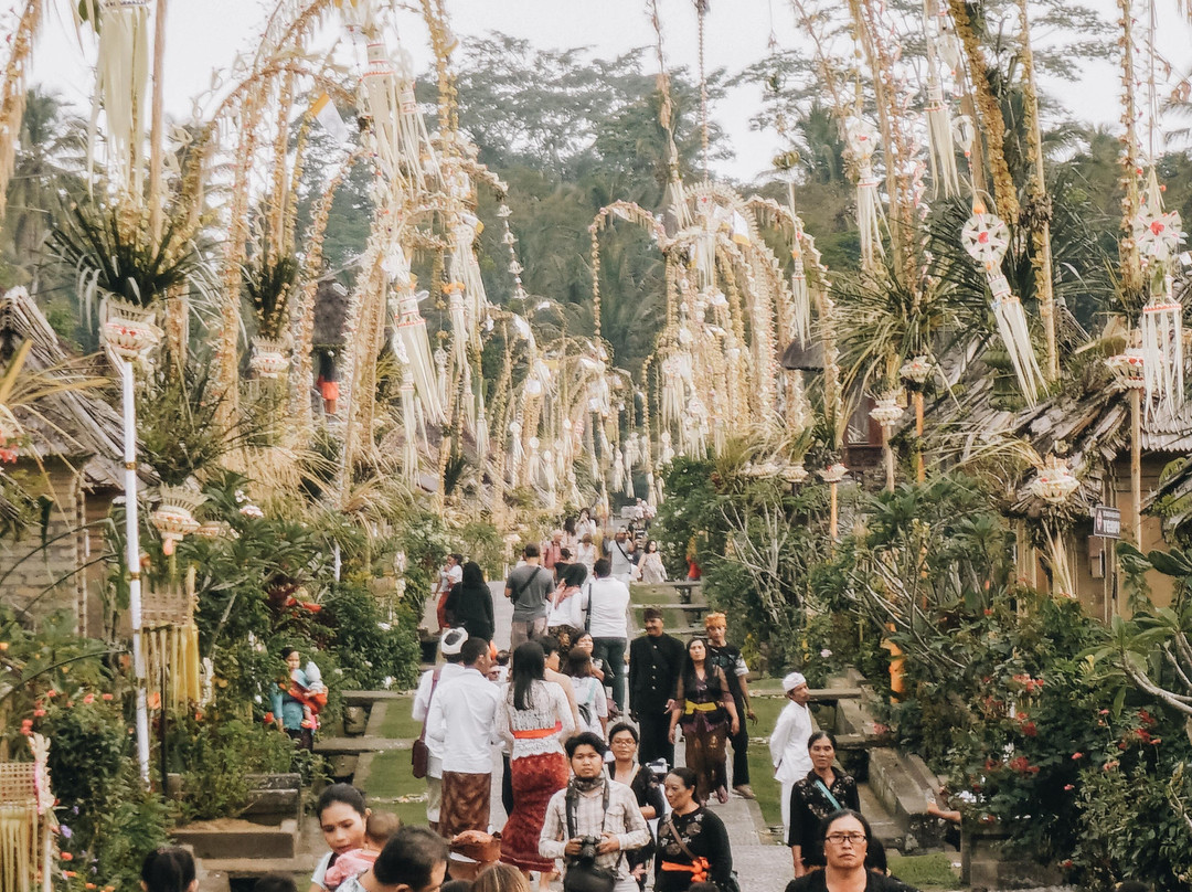 Kinship bali tour景点图片
