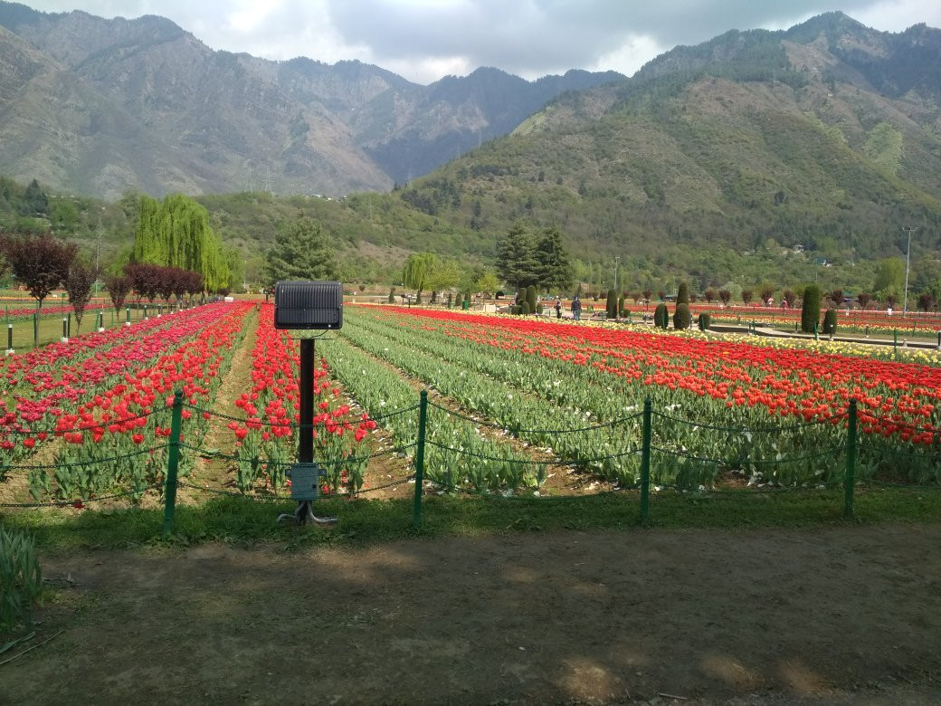 Marsar Travels Kashmir-斯利那加必去景点