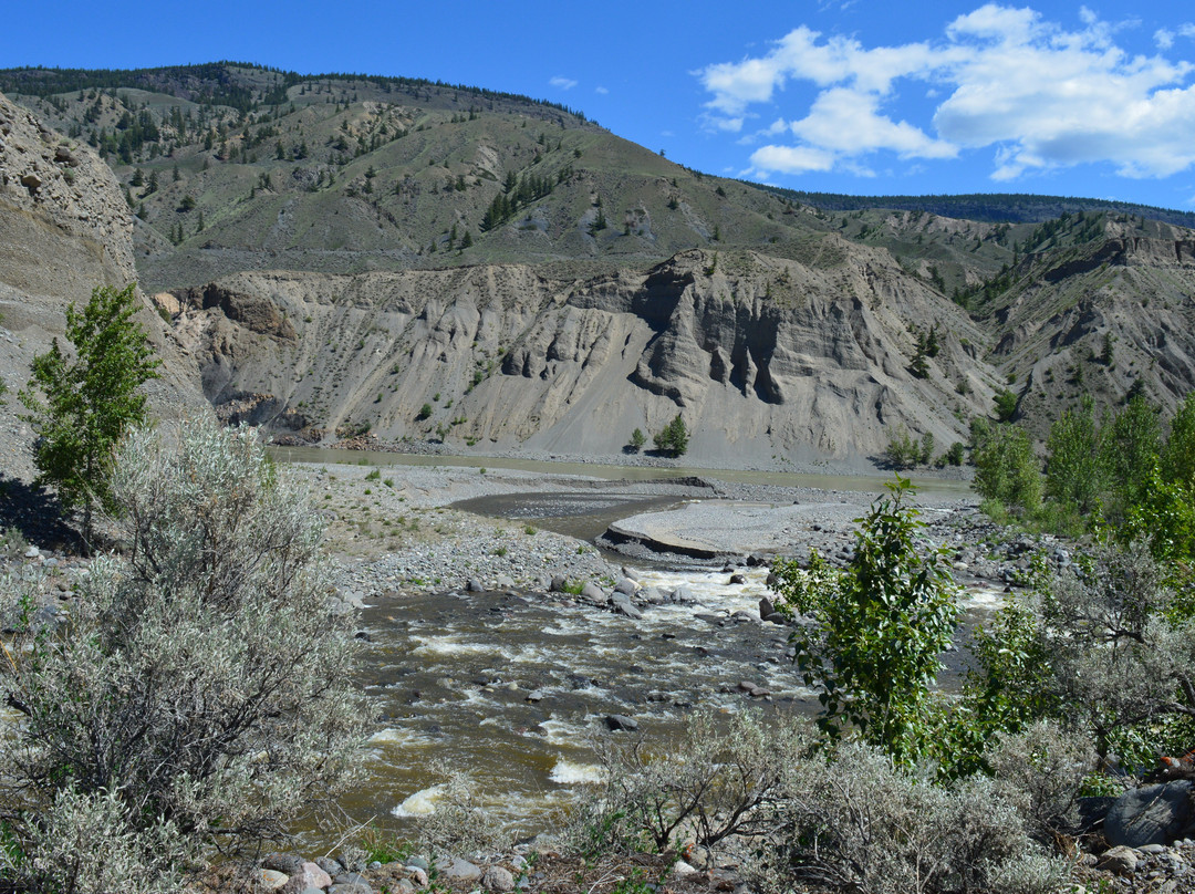 Churn Creek Protected Area景点图片