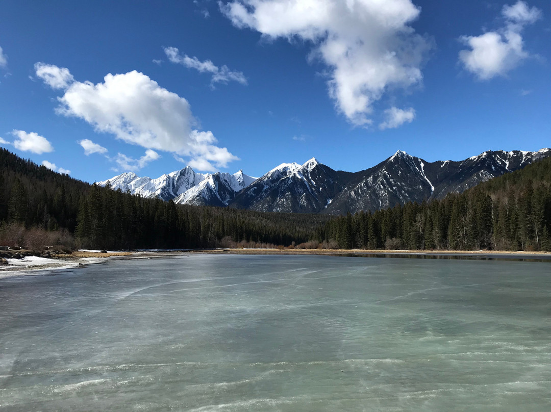 Whiteswan Lake Park景点图片