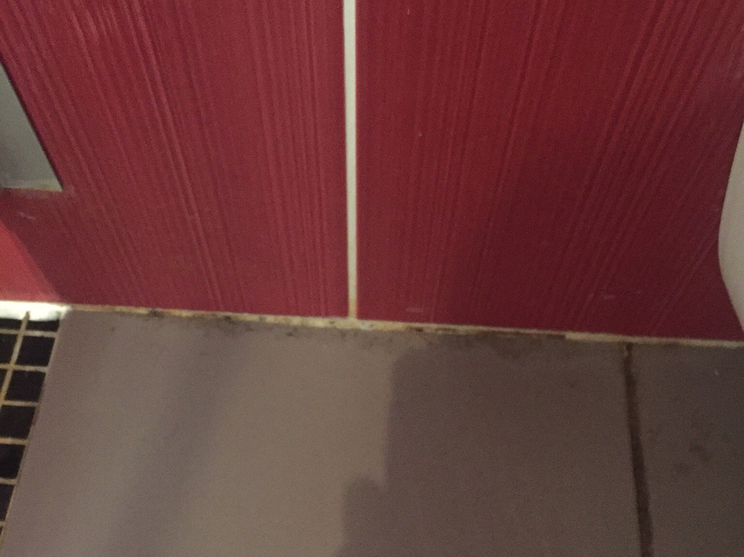 The Originals City Hotel Novella Premium, Carquefou主图